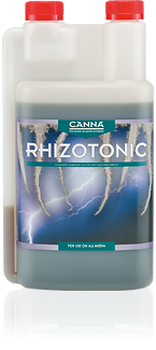 Rhizotonic Canna